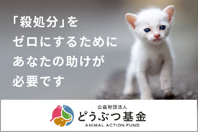 どうぶつ基金